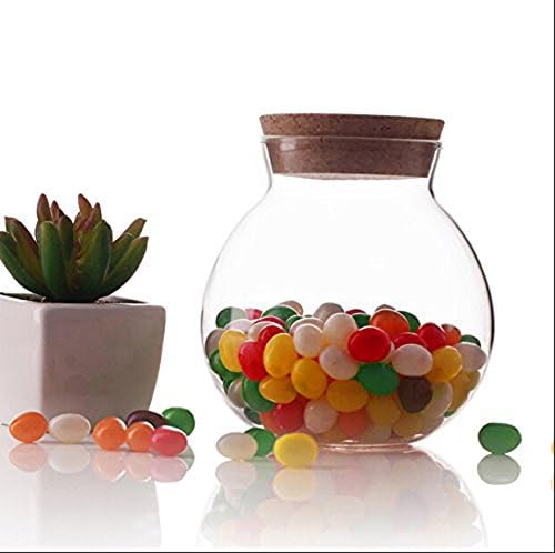 500ml/17oz Round Clear Glass Jar Food Wood Storage Jar Containers With Wood Cork Stopper Kitchen Snack Sealed Can for Tea Coffee Beans Candy Nuts Dry Flower