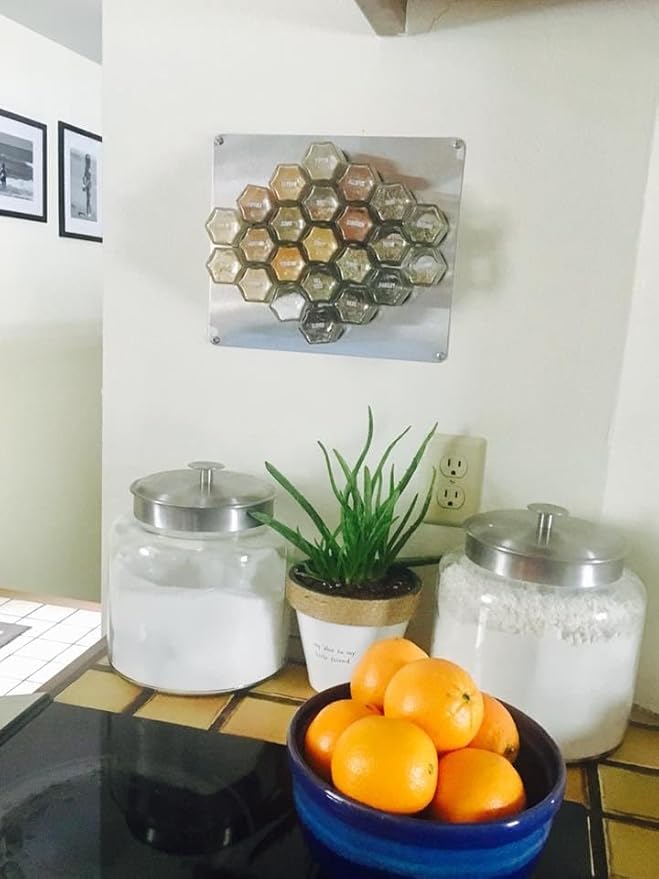 Gneiss Spice Stainless Finish Wall Plate Base for Magnetic Spice Jars, Medium 10x12 Inches (Jars Not Included)