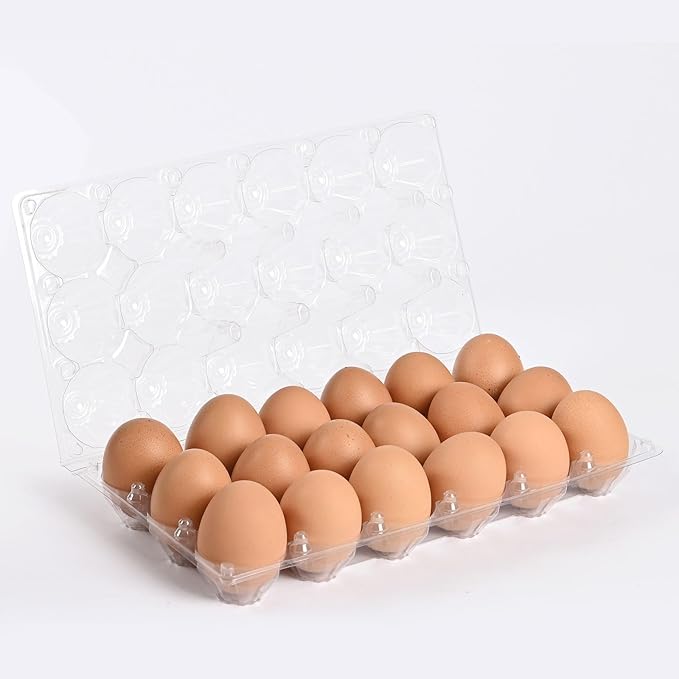110 Piece Transparent Egg Carton Plastic Egg box Specs 3×6 18 Individuai Plastic Egg Cartons Farm Egg Storage Size11.4×9.5×2.6inch (3x6 18 bulk egg cartons, 110 Pieces)