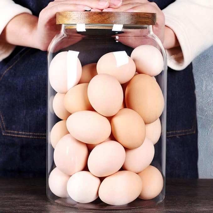 SAIOOL Egg Jar,kitchen canister, 1 Gallon Large Glass Food Storage Jars with Airtight Lid, Clear