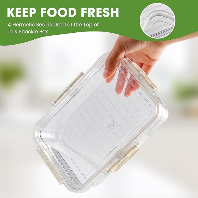 2 Pack Divided Serving Tray with Lid and Handle, Snackle Box Container mit 4 Compartments Clear Serving Platters and Trays,Snack Platters for Veggie Fruits Snacks Nuts, for Picnic Party Travel