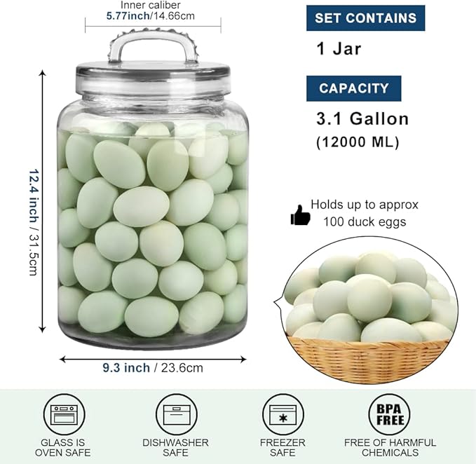 3 Gallon Glass Jar with Lid, Wide Mouth Large Glass Canister with lid, Super Large Cookie Jar for Food Storage, Sugar, Flour, Cookies,Dog Treats