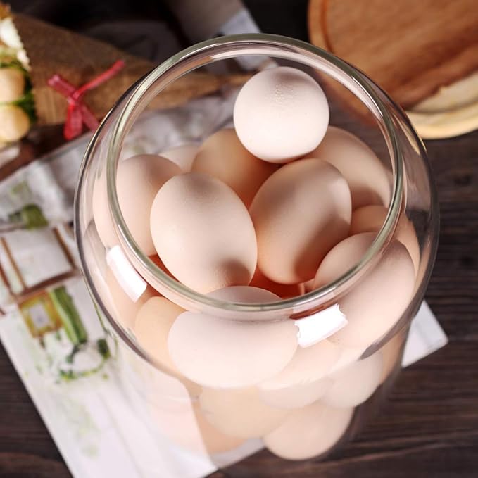 SAIOOL Egg Jar,kitchen canister, 1 Gallon Large Glass Food Storage Jars with Airtight Lid, Clear