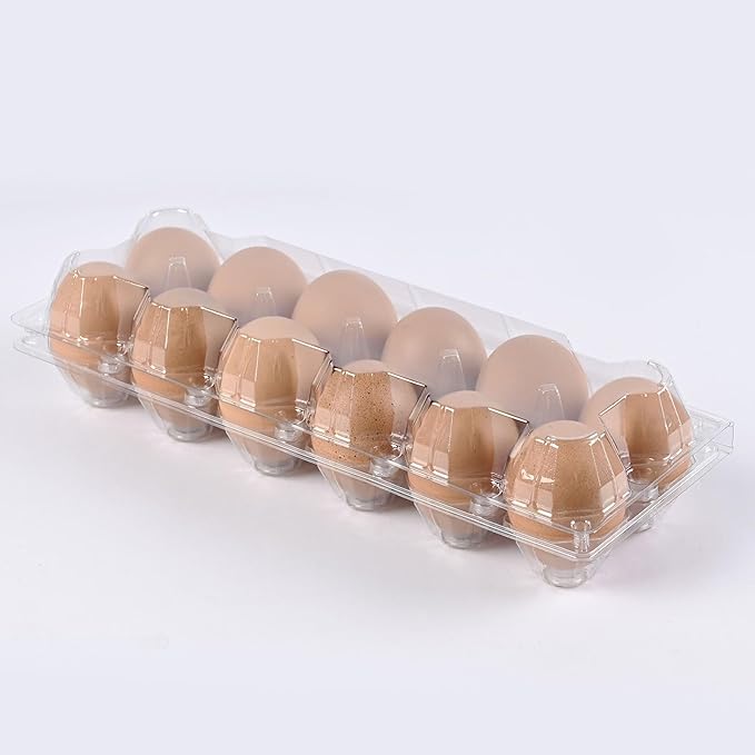 120 Piece Transparent Plastic Egg Cartons Specs2×6 12 Individuai Plastic EggCartons Farm Eggs Storage Size11×3.93×2.6inch(2x6 12 bulk Egg Cartons, 120 pieces)