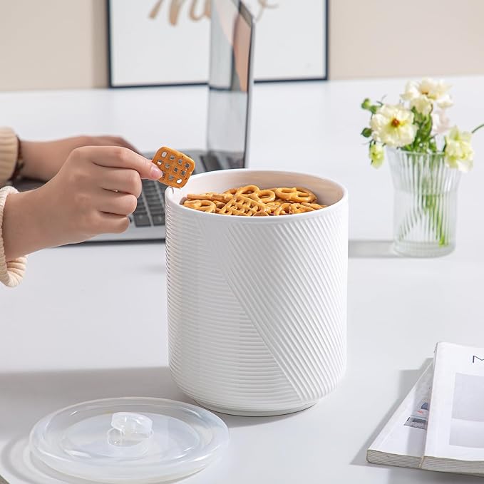 Canister Sets for Kitchen Countertop: Ceramic Food Storage Jar with Airtight Lids - Large Seal Damp-proof Containers for Coffee Tea Flour Sugar Rice Cookies Candy - White (75 oz)
