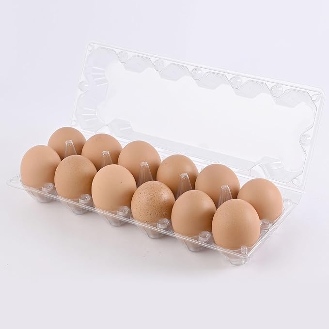 120 Piece Transparent Plastic Egg Cartons Specs2×6 12 Individuai Plastic EggCartons Farm Eggs Storage Size11×3.93×2.6inch(2x6 12 bulk Egg Cartons, 120 pieces)