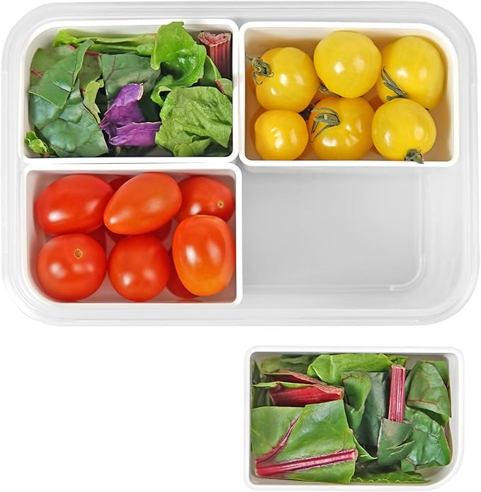 carrotez Food Storage Container with 4 Removable Compartments, Food Prep Container with Airtight Lids, Portion Control Container, Reusable, BPA Free, 4.6 Cup(1100ml)