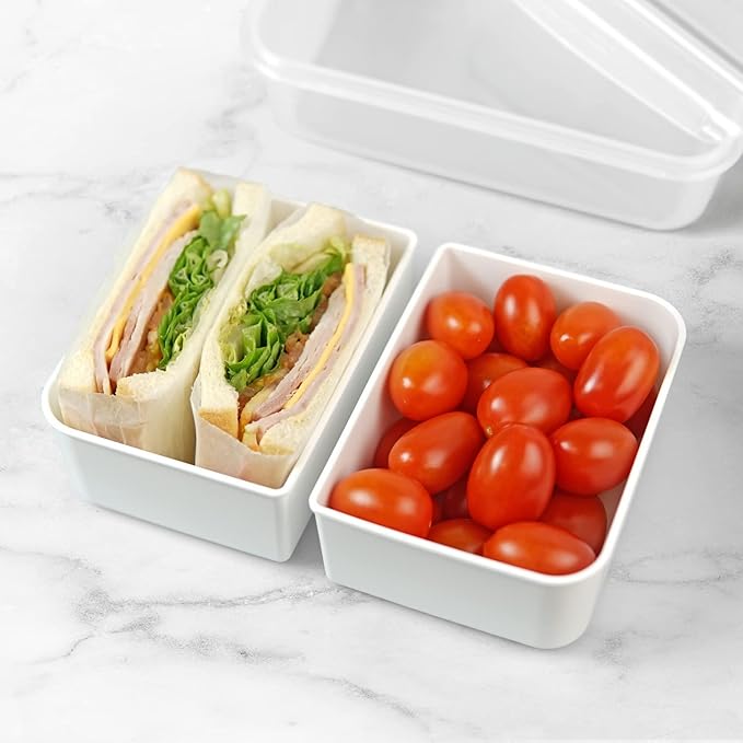 carrotez Food Storage Container with 2 Removable Compartments, Food Prep Container with Airtight Lids, Portion Control Container, Reusable, BPA Free, 6.3 Cup (1500ml)