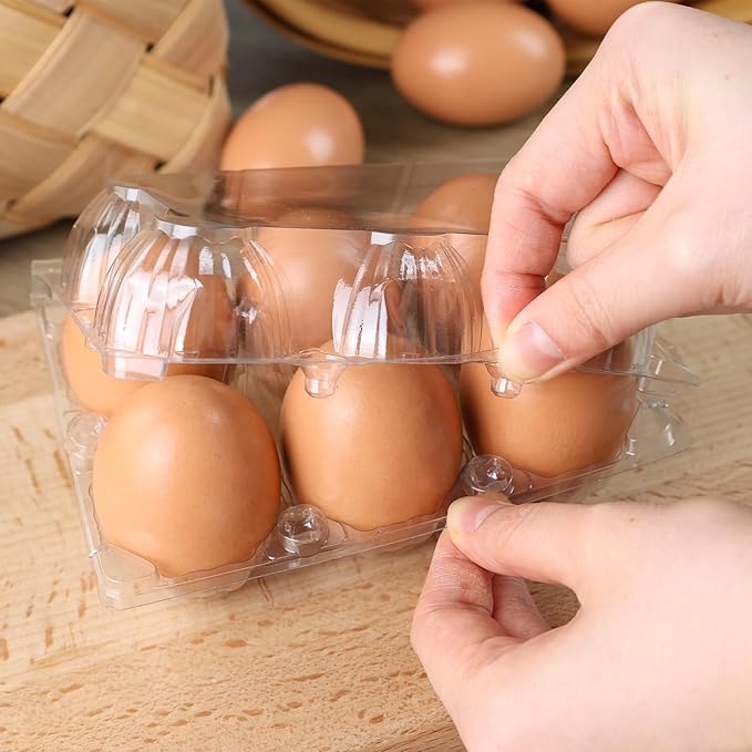 HANSGO Clear Egg Cartons Bulk, Half Dozen 6 Count Empty Egg Carton Storage Containers for Home Ranch Chicken Farm Market Display, 60 PCS