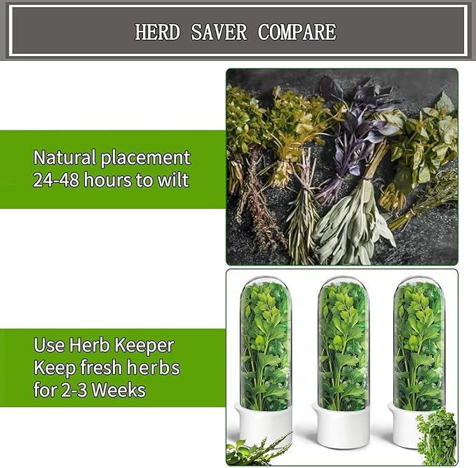 Herb Saver for Refrigerator, Fresh Herbs Lettuce Keeper for Refrigerator, Cilantro Container for Fridge Parsley Mint Leaves Fresh Herb Keeper, Refrigerato Storage for Fresh for 2-3 Weeks (3PCS)