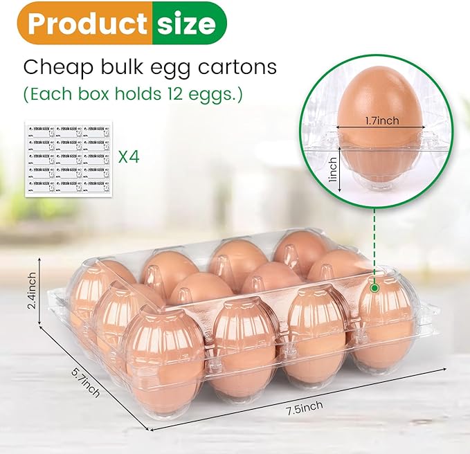 HANSGO Clear Egg Cartons Bulk, 1 Dozen 12 Count Empty Egg Carton Storage Containers for Home Ranch Chicken Farm Market Display, 60 PCS
