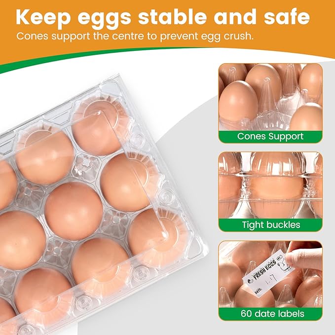 HANSGO Clear Egg Cartons Bulk, 1 Dozen 12 Count Empty Egg Carton Storage Containers for Home Ranch Chicken Farm Market Display, 60 PCS