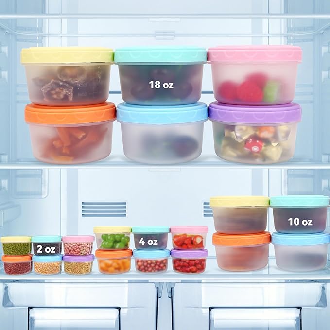 Small Containers with Lids, Reusable Plastic Bowls for Snack and Puree, Salad Dressing Container to Go, Deli, Sauce, Freezer Condiment Containers, Dishwasher Safe (colorful,6 pack, 10 oz)