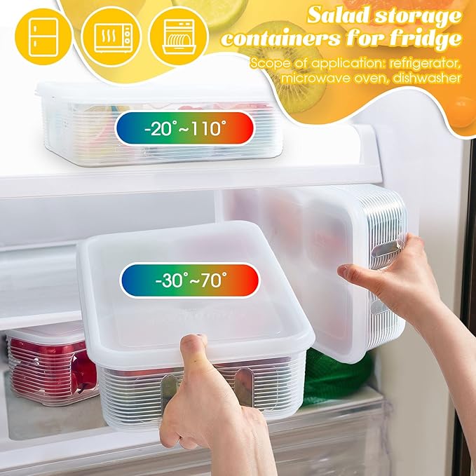 Rtteri 2 Sets Salad Bar Containers for Fridge Food Storage Containers with Airtight Lids Divided Pizza Salad Storage Include 6 Pcs Removable Reusable Box No BPA