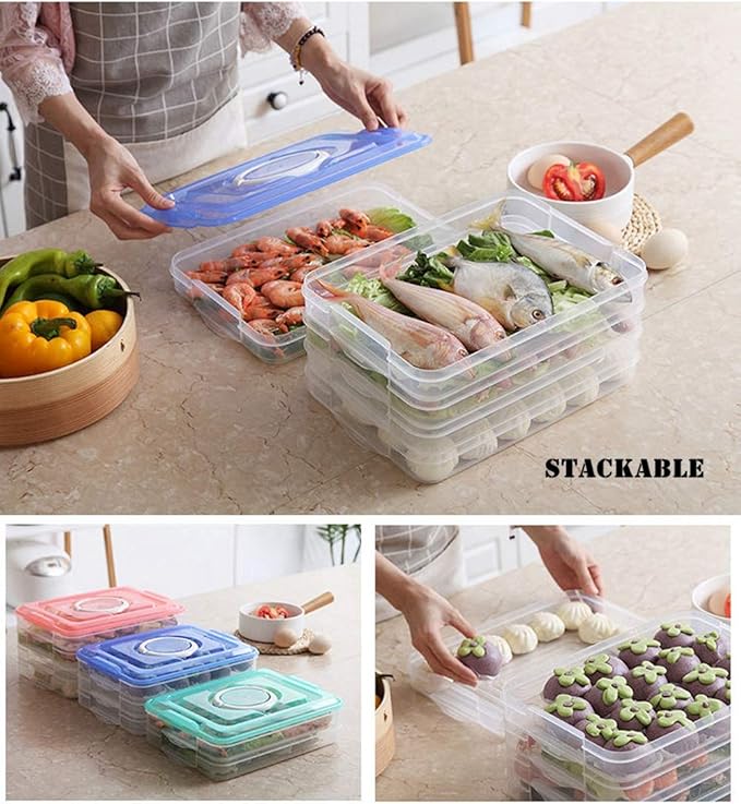 Food Refrigerator Storage Containers with 2 Lids, 4 Layer, Stackable Handheld Carrier for Snack, Cookie, Meat, Bacon, Charcuterie, BPA Free (Transparent 4 tier)