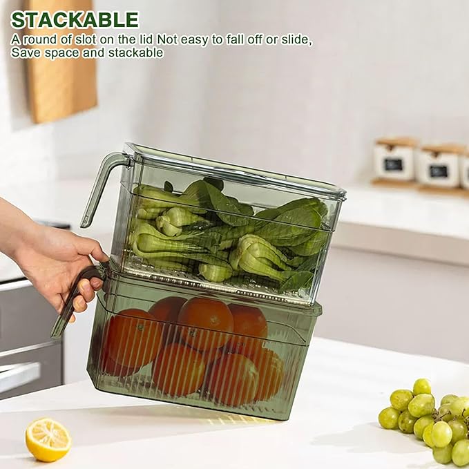 Loobuu 2Pack Stackable Food Storage Produce Saver Containers for Refrigerator, Berry Keeper Boxes for Fridge with Removable Drain Tray Keep Fresh for Vegetables/Fruit/Meat/Salad- 10.23'' x5.4'' x5.2''