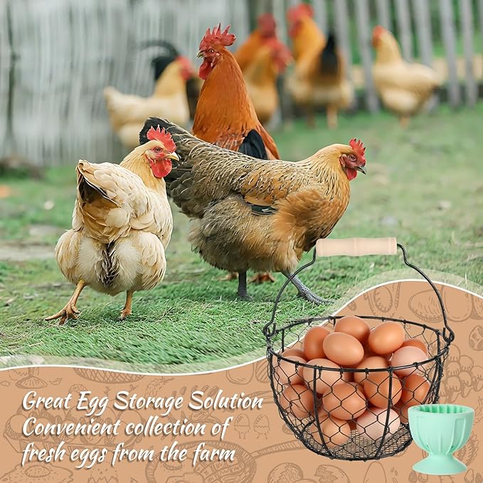 2 Pcs Egg Basket With Handle,Wire Egg Basket for Gathering Fresh Eggs, Round Egg Collecting Basket for Farm,Vintage Style Chicken and Duck Eggs Basket Egg Countertop Storage Container Holder
