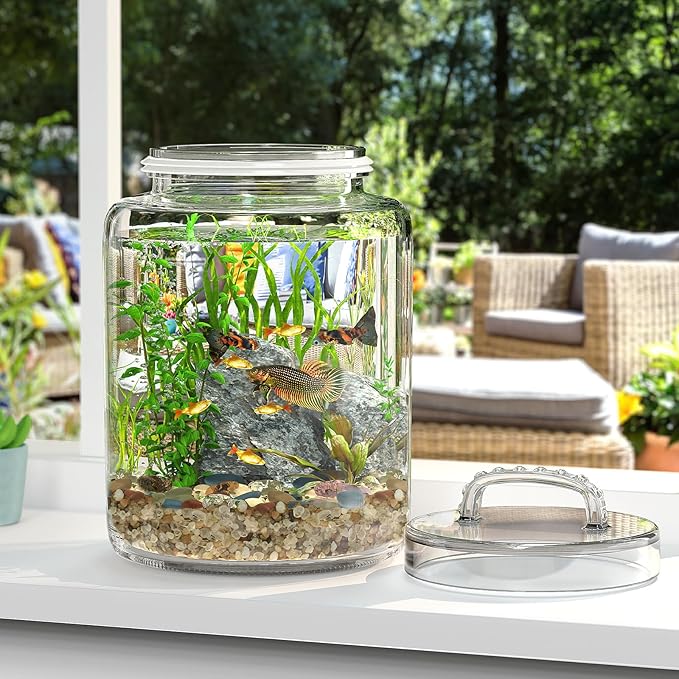 3 Gallon Glass Jar with Lid, Wide Mouth Large Glass Canister with lid, Super Large Cookie Jar for Food Storage, Sugar, Flour, Cookies,Dog Treats