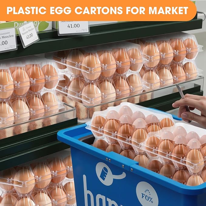 40 Pack Clear Plastic Egg Cartons, 2x6 Grids, 12 Count, 10.2 x 4 Inches, Reusable, Transparent, Shock-Absorbing, Perfect for Family, Farm, Market, Display