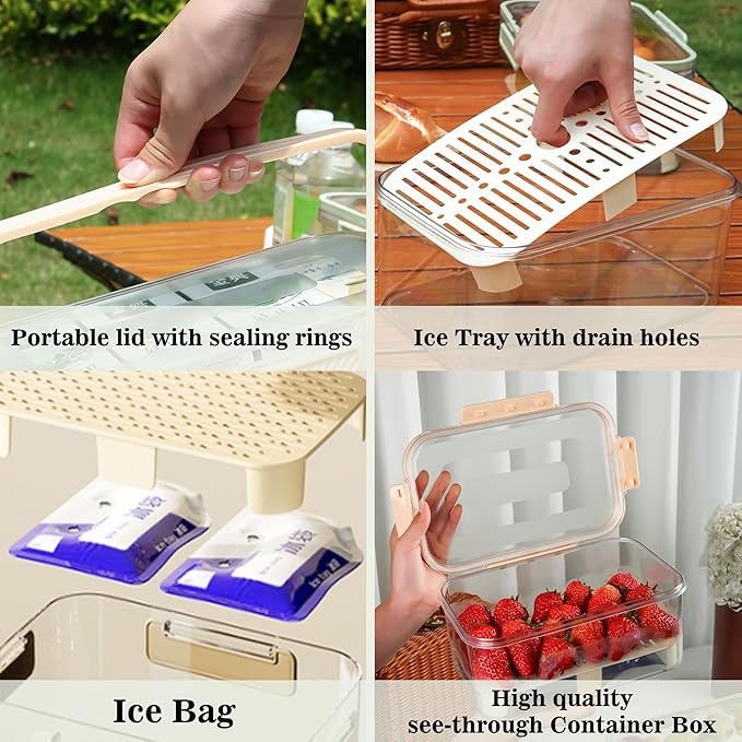 Ice Chilled Snackle Box Container with Ice Pack for Veggie Serving Fruit Tray with Lid Ice Holder Bin with Handle for Party Outdoor Camping Picnic Fridge Storage(Coffee)