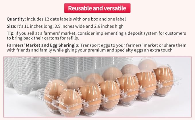 120 Piece Transparent Plastic Egg Cartons Specs2×6 12 Individuai Plastic EggCartons Farm Eggs Storage Size11×3.93×2.6inch(2x6 12 bulk Egg Cartons, 120 pieces)