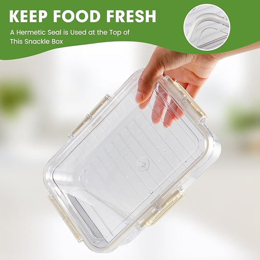 2 Pack Divided Serving Tray with Lid and Handle, Snackle Box Container mit 4 Compartments Clear Serving Platters and Trays,Snack Platters for Veggie Fruits Snacks Nuts, for Picnic Party Travel