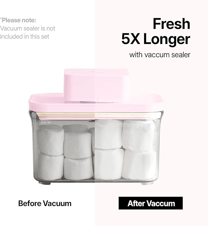 Premium Airtight Food Storage Containers ROSE 0.53qt(0.5L) x2pcs, Patented Double Silicone Lining, 100% Leak Proof, BPA-FREE