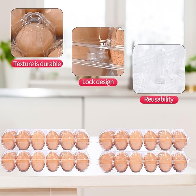 120 Piece Transparent Plastic Egg Cartons Specs2×6 12 Individuai Plastic EggCartons Farm Eggs Storage Size11×3.93×2.6inch(2x6 12 bulk Egg Cartons, 120 pieces)