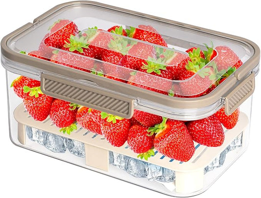 Ice Chilled Snackle Box Container with Ice Pack for Veggie Serving Fruit Tray with Lid Ice Holder Bin with Handle for Party Outdoor Camping Picnic Fridge Storage(Coffee)
