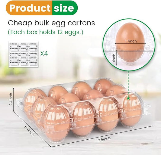 HANSGO Clear Egg Cartons Bulk, 1 Dozen 12 Count Empty Egg Carton Storage Containers for Home Ranch Chicken Farm Market Display, 60 PCS