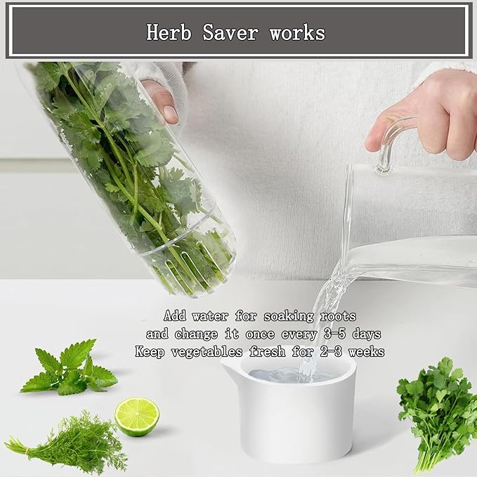 Herb Saver for Refrigerator, Fresh Herbs Lettuce Keeper for Refrigerator, Cilantro Container for Fridge Parsley Mint Leaves Fresh Herb Keeper, Refrigerato Storage for Fresh for 2-3 Weeks (3PCS)