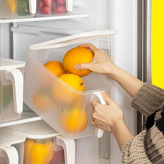 MineSign 4Pack Plastic Storage Containers with Lid Large Square Food Storage Organizer Stackable Refrigerator Organizer with Handle Kitchen Containers for Fruits Vegetables Meat Egg