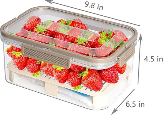 Ice Chilled Snackle Box Container with Ice Pack for Veggie Serving Fruit Tray with Lid Ice Holder Bin with Handle for Party Outdoor Camping Picnic Fridge Storage(Coffee)