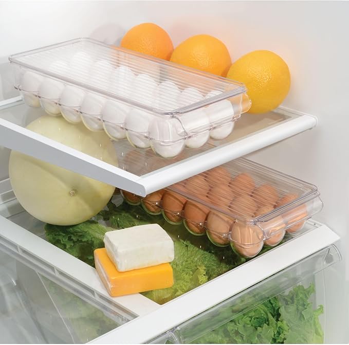 iDesign Plastic Egg Holder with Lid and Handle - Holds 21 Eggs - Clear - Made in USA