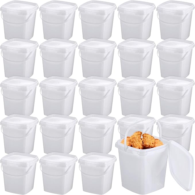 Mifoci 24 Pcs Plastic Food Containers Ice Cream Buckets with Lids and Handle Reusable Square Deli Containers Freezer and Microwave Safe for Kitchen Food Drinks Storage(101 Oz / 3.1 Qt / 0.79 Gallon)