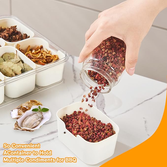 Snackle Box Container: Divided Serving Tray with Lid and Handle, Includes 8 Compartments for Dry Fruit Snack Box, Portable Fruit Tray Great for Kitchen, Party, Picnic, Travel