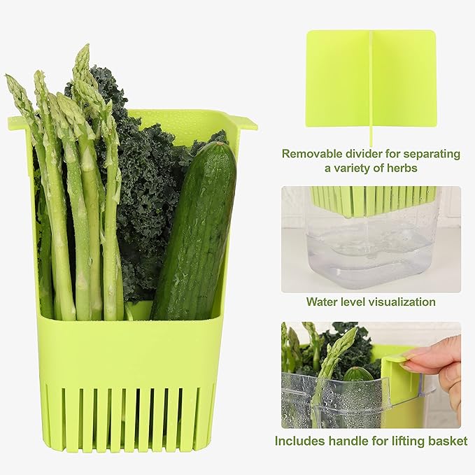 Herb Keeper, BPA-Free Plastic Herb Saver with an Inner Basket for Cilantro, Mint, Parsley, and Asparagus, Keeps Fresh Herbs for 3 Times Longer,1Pcs, Green