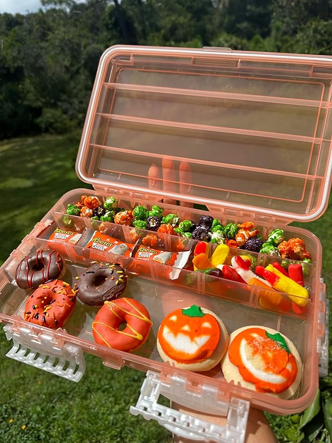 SubSafe Charcuterie Safe Waterproof Tackle Box, Snack Storage for Beach, Parties & Tailgating, BPA-Free, Peach Fizz